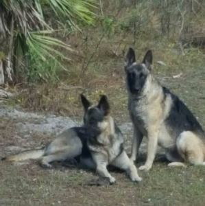 Meet your Posher, Jerry